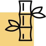 Contato com a Natureza
